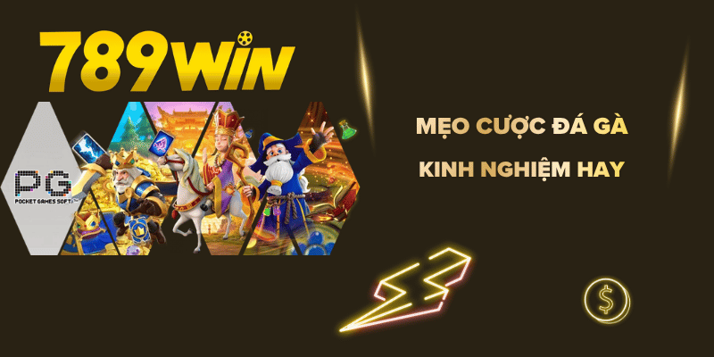Mẹo Cược Đá Gà